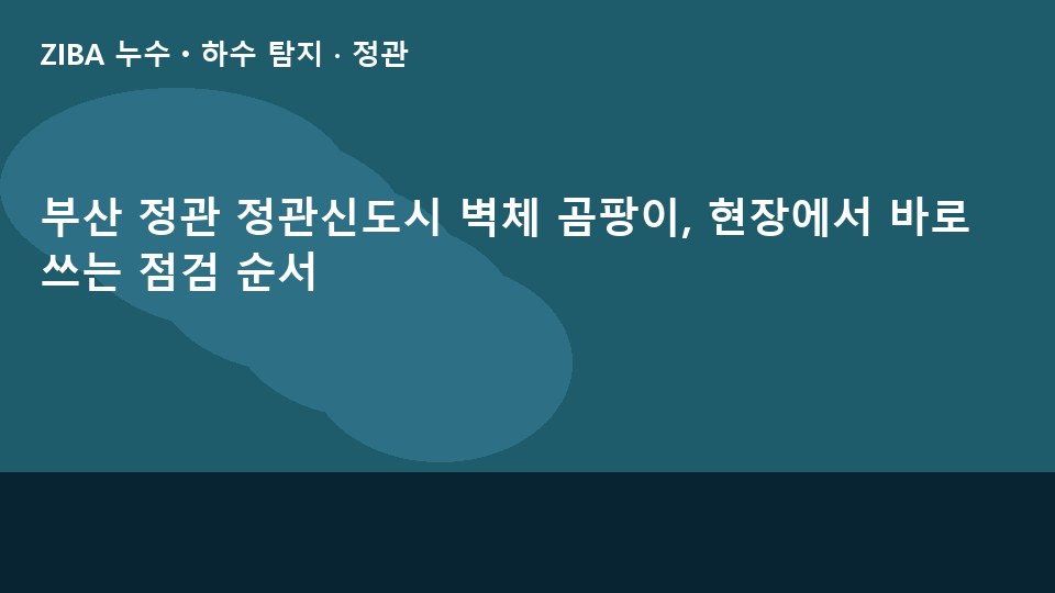 부산 정관 정관신도시 벽체 곰팡이, 현장에서 바로 쓰는 점검 순서