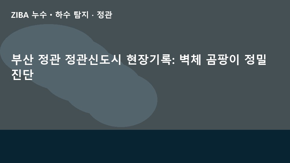 부산 정관 정관신도시 현장기록: 벽체 곰팡이 정밀 진단